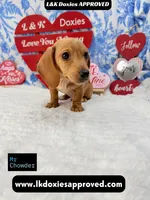 processed/d69fbc42-a368-44d3-8af7-50f12d49d295/listing/9faa0b7c-4ad0-46be-986b-aeb799ba2c97/852886a5-ae9a-4185-b6bc-d8f95e03ed59