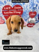 processed/d69fbc42-a368-44d3-8af7-50f12d49d295/listing/9faa0b7c-4ad0-46be-986b-aeb799ba2c97/8b5ee2a4-4a2a-4afc-81ab-bff8be1601ea