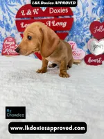 processed/d69fbc42-a368-44d3-8af7-50f12d49d295/listing/9faa0b7c-4ad0-46be-986b-aeb799ba2c97/c8fb6e34-080b-437b-af43-356585425ca4