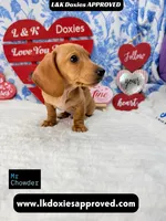 processed/d69fbc42-a368-44d3-8af7-50f12d49d295/listing/9faa0b7c-4ad0-46be-986b-aeb799ba2c97/ebcd99cd-518e-4bb4-8857-97d3da840eb8