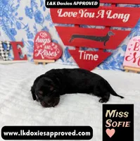 processed/d69fbc42-a368-44d3-8af7-50f12d49d295/listing/f6a79fca-4d5c-4c7c-acb0-b14ae8ff6e81/0005ccfe-8118-432a-b7cb-645a81ebbdc2