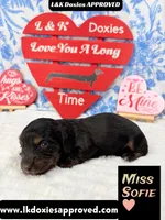 processed/d69fbc42-a368-44d3-8af7-50f12d49d295/listing/f6a79fca-4d5c-4c7c-acb0-b14ae8ff6e81/062bd36a-0c5d-424b-a448-ba161cf75396