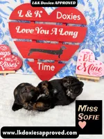 processed/d69fbc42-a368-44d3-8af7-50f12d49d295/listing/f6a79fca-4d5c-4c7c-acb0-b14ae8ff6e81/0fcc73ee-bd30-4cca-aead-83b72370cc10