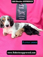 processed/d69fbc42-a368-44d3-8af7-50f12d49d295/listing/f6a79fca-4d5c-4c7c-acb0-b14ae8ff6e81/3f8abd90-ce52-44eb-9014-f0ee3431af24