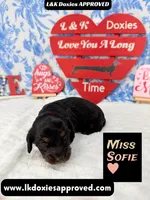 processed/d69fbc42-a368-44d3-8af7-50f12d49d295/listing/f6a79fca-4d5c-4c7c-acb0-b14ae8ff6e81/5cdcdbe5-15d2-4980-a241-2b1508488261