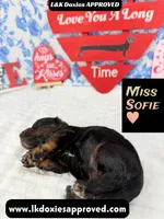 processed/d69fbc42-a368-44d3-8af7-50f12d49d295/listing/f6a79fca-4d5c-4c7c-acb0-b14ae8ff6e81/94afca36-b7a0-437b-893b-2ebfb8d6056e