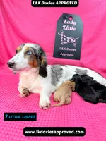 processed/d69fbc42-a368-44d3-8af7-50f12d49d295/listing/f6a79fca-4d5c-4c7c-acb0-b14ae8ff6e81/c2472de6-0cbd-49ba-beee-9d8469b2c7fc