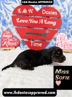 processed/d69fbc42-a368-44d3-8af7-50f12d49d295/listing/f6a79fca-4d5c-4c7c-acb0-b14ae8ff6e81/dc5180a7-7be6-416f-bc36-fb12f8379d2e