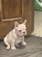 processed/d6a5b2ca-3ab4-4373-8bc4-35545c4c260a/facility/48321c22-0605-469b-965a-e82c10d4d9a6