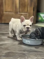 processed/d6a5b2ca-3ab4-4373-8bc4-35545c4c260a/facility/73ab836a-b5ea-46b4-9a77-4414af916c3e