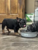 processed/d6a5b2ca-3ab4-4373-8bc4-35545c4c260a/facility/a34db680-72ab-4c8a-806a-ade889b8e9aa