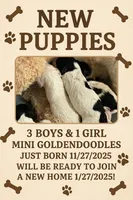 processed/d6a7afb5-9f22-4c08-aba0-8896efe2945a/facility/722eb30d-c3e8-4c96-a895-d28d677f6417