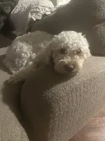 processed/d6a7afb5-9f22-4c08-aba0-8896efe2945a/facility/833339ae-f519-434b-be1a-265e80297458