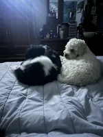 processed/d6a7afb5-9f22-4c08-aba0-8896efe2945a/facility/88f6ed5f-0e64-4a0d-8d37-e40f49165374