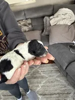 processed/d6a7afb5-9f22-4c08-aba0-8896efe2945a/facility/9fb741f1-0269-497e-8f2b-7f8123264249