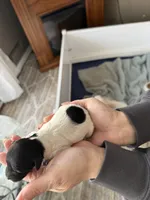 processed/d6a7afb5-9f22-4c08-aba0-8896efe2945a/facility/b9e6e5b3-6b5f-492d-a231-640e79cd2ce5