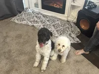 processed/d6a7afb5-9f22-4c08-aba0-8896efe2945a/facility/c8941447-54cc-4003-be42-04ae888466cc