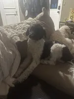 processed/d6a7afb5-9f22-4c08-aba0-8896efe2945a/facility/da783ec0-2d2c-4ee0-b1a3-a6e6679aeb58