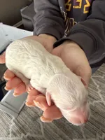 processed/d6a7afb5-9f22-4c08-aba0-8896efe2945a/facility/df661d76-cc52-4ebf-8652-a7992cd182d0