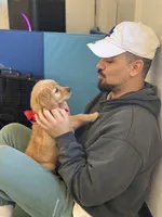 Red, a male Golden Retriever for sale in Los Angeles, CA – 3 of 3