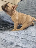 processed/d6afb105-7506-4167-95cd-a68025bcdf46/listing/3e9ce710-5f10-4208-becd-76cad84c22c7/108e8b39-3d7e-48fb-a70f-3d6c2023fb96