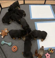 Facility photo