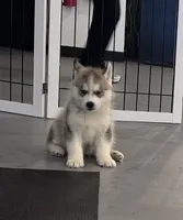 processed/d6c4214b-8a10-4cb4-a8d0-dab0c5bb37bf/facility/099254d7-63e0-47c6-8125-83873d021c74