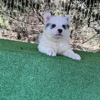 processed/d6c4214b-8a10-4cb4-a8d0-dab0c5bb37bf/facility/0ca33e06-a38b-42c7-9cb8-f1392714eadc