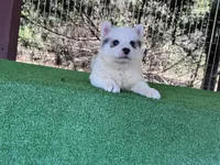 processed/d6c4214b-8a10-4cb4-a8d0-dab0c5bb37bf/facility/0ca33e06-a38b-42c7-9cb8-f1392714eadc