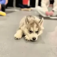 processed/d6c4214b-8a10-4cb4-a8d0-dab0c5bb37bf/facility/1ac242a6-712b-4d7b-a250-7f3340612134