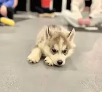 processed/d6c4214b-8a10-4cb4-a8d0-dab0c5bb37bf/facility/1ac242a6-712b-4d7b-a250-7f3340612134