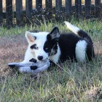 processed/d6c4214b-8a10-4cb4-a8d0-dab0c5bb37bf/facility/63a867ba-3cd4-45fa-936a-b5abaa3d071e