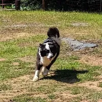 processed/d6c4214b-8a10-4cb4-a8d0-dab0c5bb37bf/facility/89dc22bf-5923-42a2-ab8f-8b247d3d8d21