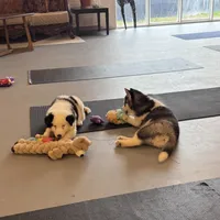 processed/d6c4214b-8a10-4cb4-a8d0-dab0c5bb37bf/facility/937b7bd0-6aca-408b-9a3b-5b99bbac202f