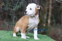 processed/d6c4214b-8a10-4cb4-a8d0-dab0c5bb37bf/listing/00cc2cf3-2140-4e24-aa1e-34c7e0c691fc/208fb810-58e4-4fae-9dd4-d81b2c13621a