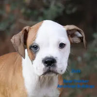 processed/d6c4214b-8a10-4cb4-a8d0-dab0c5bb37bf/listing/00cc2cf3-2140-4e24-aa1e-34c7e0c691fc/6c93cdf7-a0a3-4622-a295-a6872916d973