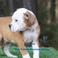 processed/d6c4214b-8a10-4cb4-a8d0-dab0c5bb37bf/listing/00cc2cf3-2140-4e24-aa1e-34c7e0c691fc/b3ad9a88-5349-4ad1-8aec-4f6604b3cb3d