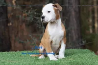 processed/d6c4214b-8a10-4cb4-a8d0-dab0c5bb37bf/listing/00cc2cf3-2140-4e24-aa1e-34c7e0c691fc/ec6506ea-de6a-48ae-be84-7c668f36644d