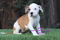 processed/d6c4214b-8a10-4cb4-a8d0-dab0c5bb37bf/listing/09c55a4b-2635-4738-99e0-13e6aff9c1ae/1e920452-0142-4844-a3de-fbea793ed3a2