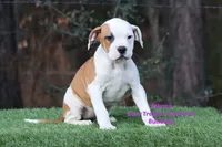 processed/d6c4214b-8a10-4cb4-a8d0-dab0c5bb37bf/listing/09c55a4b-2635-4738-99e0-13e6aff9c1ae/2e592f7a-f63e-4151-8df1-1a916b637a62