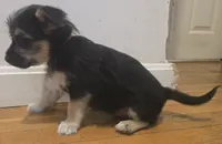 processed/d6c516b6-415d-4236-a52c-2fd5e4466047/listing/1da3b57f-c425-4d76-9dc5-2d210271880d/6fbdb5b1-397b-4740-97d6-22853e6fe794