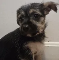 processed/d6c516b6-415d-4236-a52c-2fd5e4466047/listing/1da3b57f-c425-4d76-9dc5-2d210271880d/75881896-2ae0-4b5e-a329-128a1e5404f7