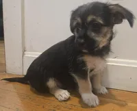 processed/d6c516b6-415d-4236-a52c-2fd5e4466047/listing/1da3b57f-c425-4d76-9dc5-2d210271880d/b54a3d2f-7d01-4a02-a313-adb01be3e84f