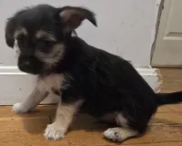 processed/d6c516b6-415d-4236-a52c-2fd5e4466047/listing/1da3b57f-c425-4d76-9dc5-2d210271880d/bc5db446-8fd2-4214-945b-6a9c66afccad