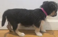 processed/d6c516b6-415d-4236-a52c-2fd5e4466047/listing/1da3b57f-c425-4d76-9dc5-2d210271880d/e2cec0c5-6fd6-486c-b9df-2f9252a3c1a9