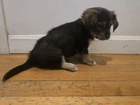 processed/d6c516b6-415d-4236-a52c-2fd5e4466047/listing/9af27398-739f-4645-89bb-988cb346ca8c/233de83c-fbff-4061-84ca-f05ca4cbb57e