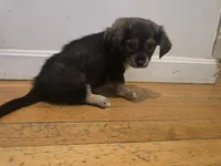 processed/d6c516b6-415d-4236-a52c-2fd5e4466047/listing/9af27398-739f-4645-89bb-988cb346ca8c/7347bbab-3de5-4fc6-9f84-c0597d65b2a1