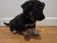 processed/d6c516b6-415d-4236-a52c-2fd5e4466047/listing/9d6e9f87-8ea5-43ff-9105-1371a3571725/148157bd-04a0-4ca5-a37f-f458498339c8