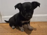 processed/d6c516b6-415d-4236-a52c-2fd5e4466047/listing/9d6e9f87-8ea5-43ff-9105-1371a3571725/447f5e20-3ef0-4463-b76c-a12cd1bd60a9