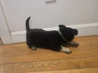 processed/d6c516b6-415d-4236-a52c-2fd5e4466047/listing/9d6e9f87-8ea5-43ff-9105-1371a3571725/4f264f3c-ccd7-4a1c-9e82-58c3526f919f